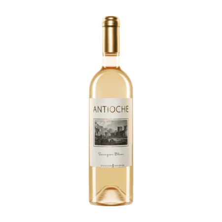 Antioche Sauvignon Blanc