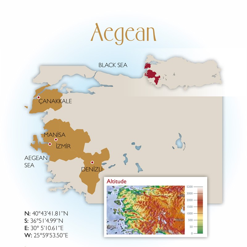 Aegean Wine Region