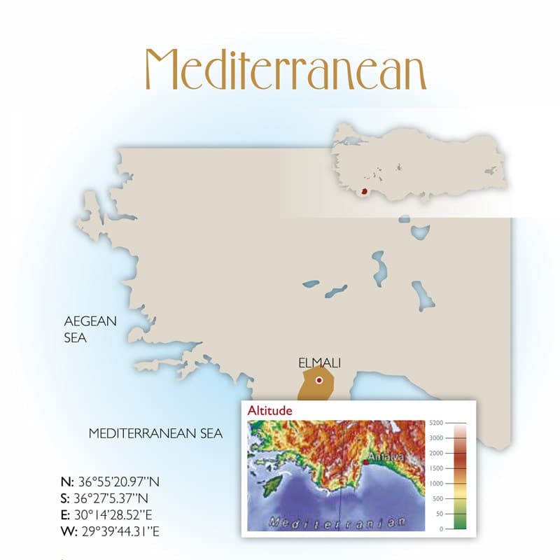 Mediterraniean Wine Region