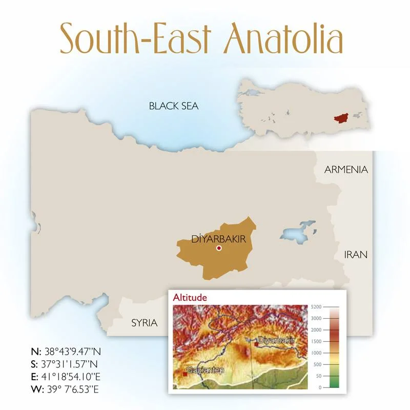 South-East Anatolia Wine Region