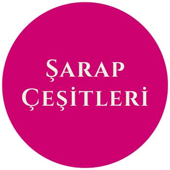 Sarap Cesitleri-Turkish Wine Shop