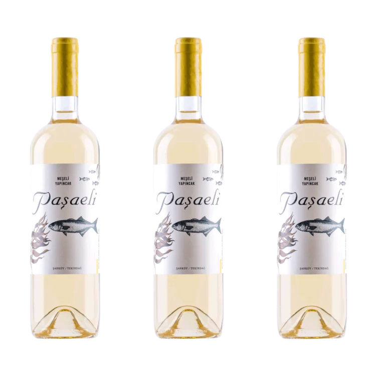 Paşaeli Meşeli Yapıncak White Wine Pack of 3-Buy Turkish Wine Online
