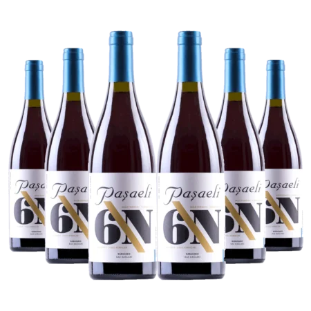 Paşaeli 6N ‘Old Vines’ Karasakız Wild Ferment 2020 (Red Wine Pack Of 6)
