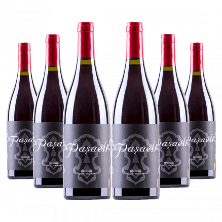 Paşaeli Papaskarası 2020 (Red Wine Pack Of 6)
