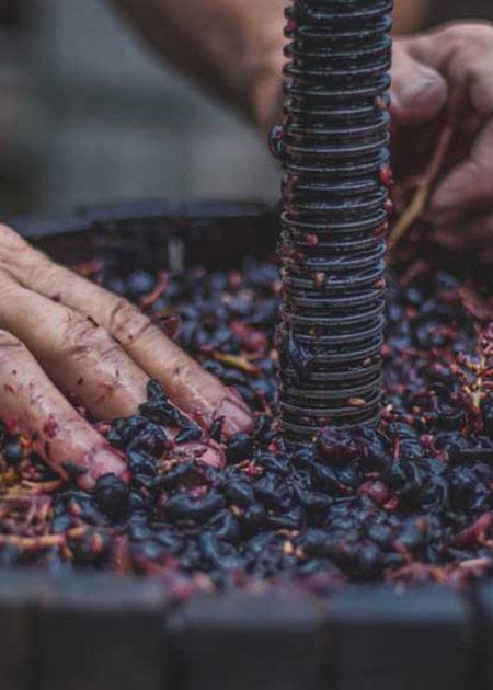 Buy Wine Online - indegenous Anatolian wine grapes