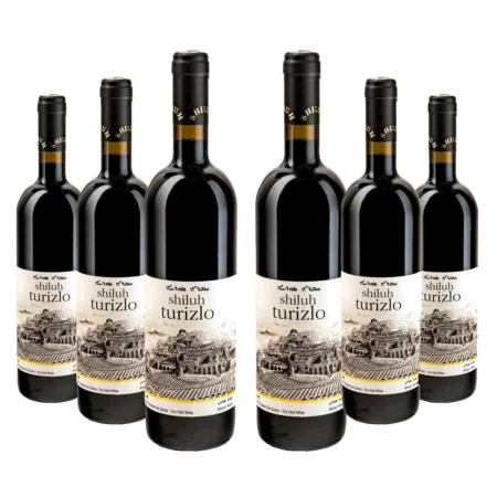 Shiluh Turizlo Red Wine Set Of 6