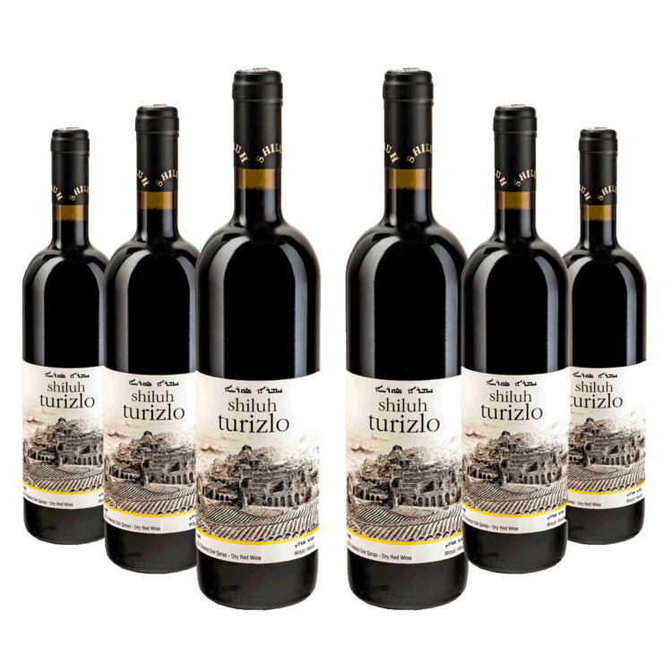 Shiluh Turizlo Red Wine Set Of 6-Buy Assyrian Wine Online