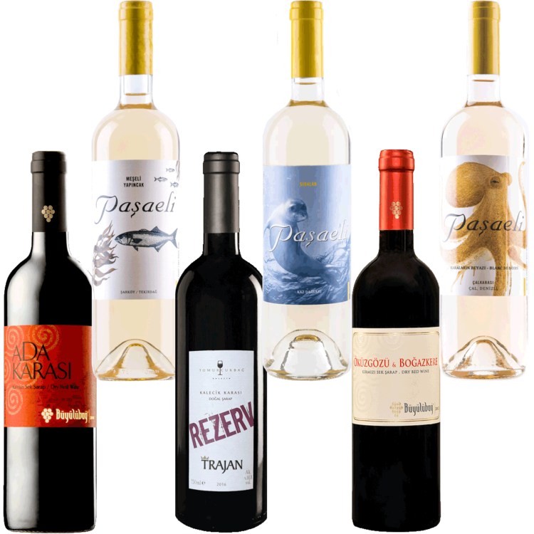 Coffret Dégustation de Vin Turc Rouge & Blanc - Lot de 6